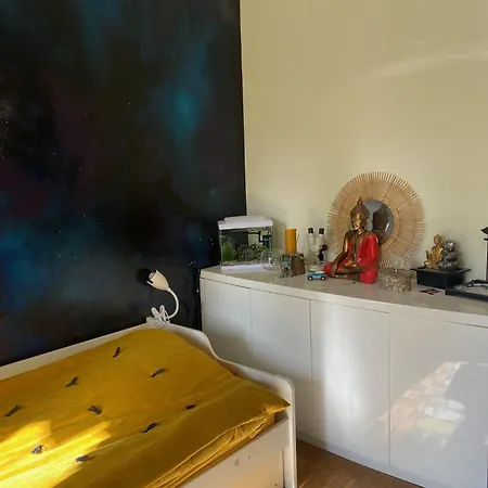 Apartment L'eco Du Chemin De La Salade Toulouse