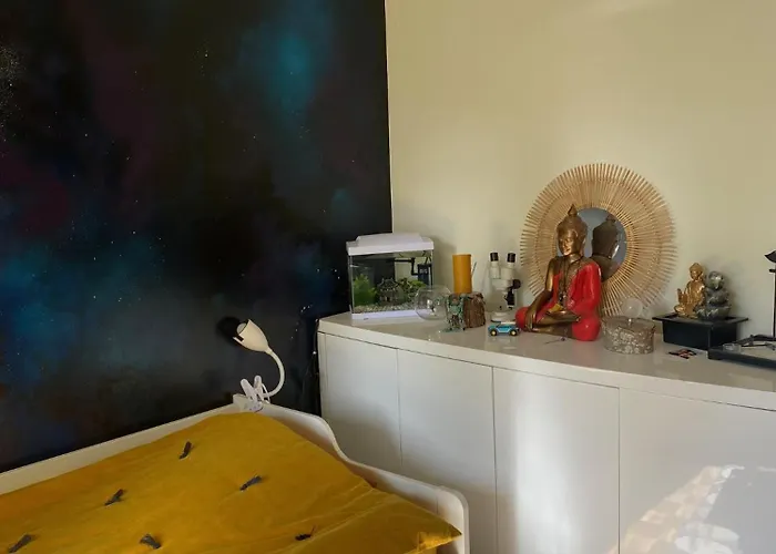 Apartamento L'éco Du Chemin De La Salade Toulouse